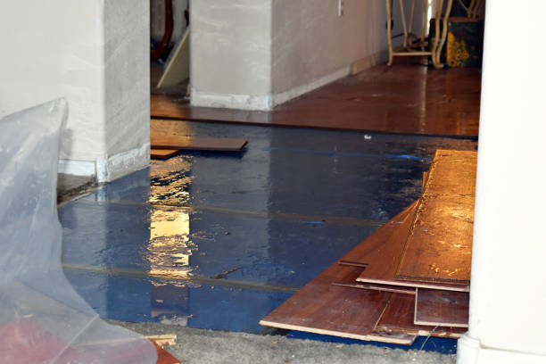 Professional Storm Water Damage Restoration technician working in Minford, OH
